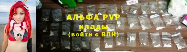 индика Абинск