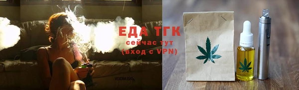 индика Абинск