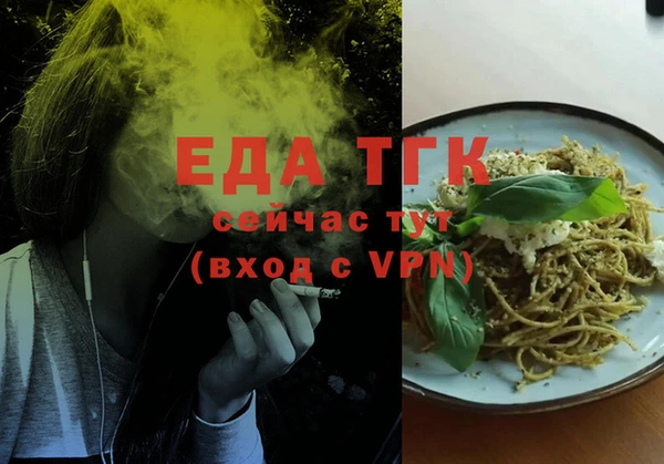 индика Абинск