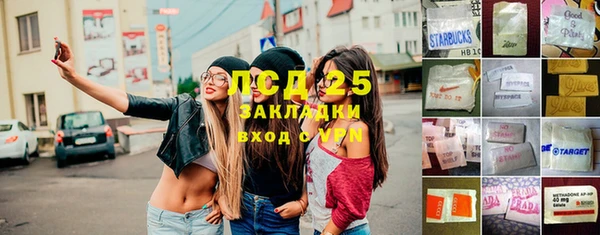индика Абинск