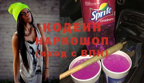 индика Абинск